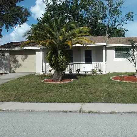 Heated & Screened In Pool Port Richey Exterior photo