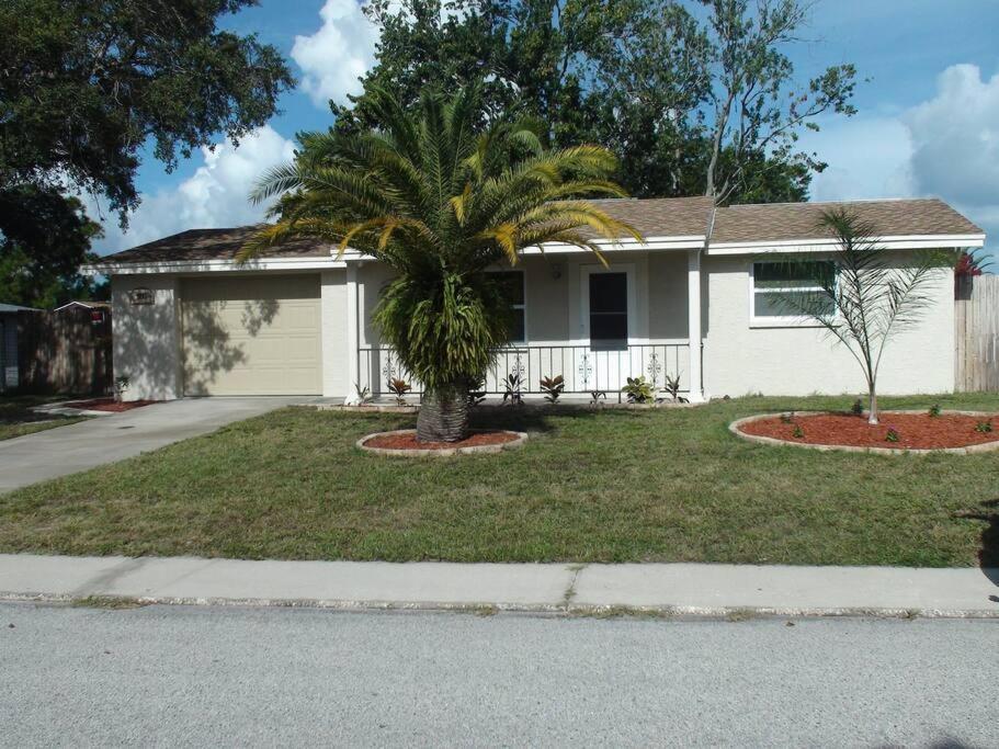 Heated & Screened In Pool Port Richey